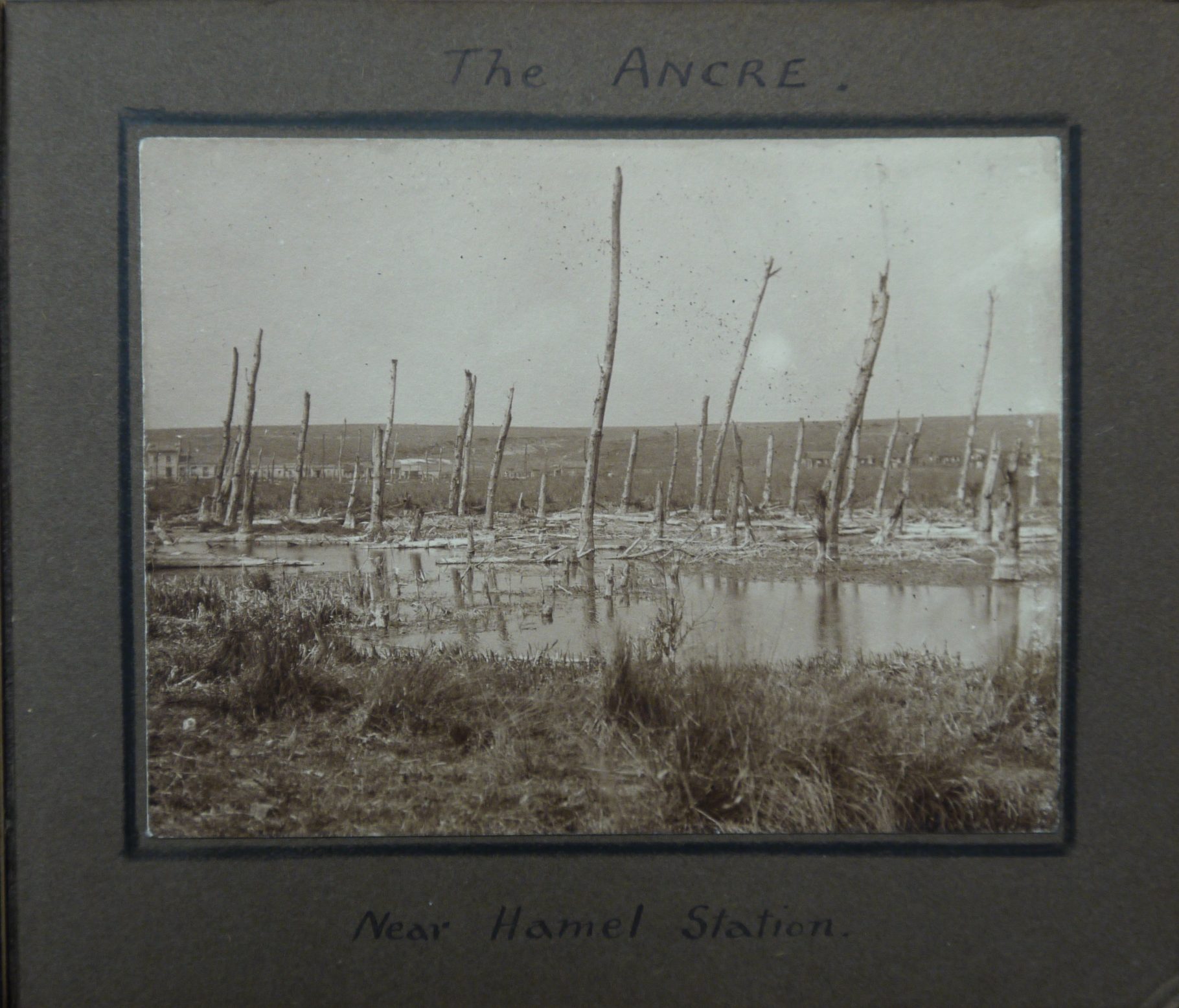 Photo on The Ancre near Hamel Station, France showing bare tree trunk